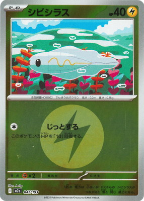 �ڥ���ۡڥ��ͥ륮���ޡ�������PK-M2a-047 ���ӥ��饹