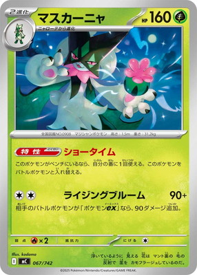 検索用カテゴリ,タイプ別,草 | ポケモンカード専門店フルアヘッド