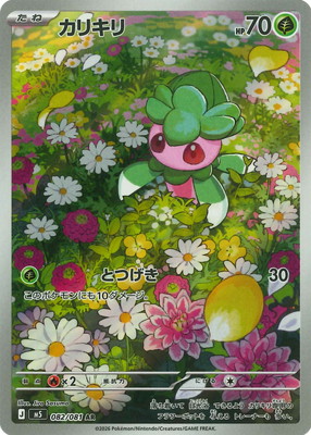検索用カテゴリ,タイプ別,草 | ポケモンカード買取・通販専門店【フル