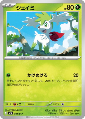 PK-MEM-001 ��������