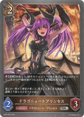 SD04-005 ɥ饴˥塼ȥץ󥻥 SR