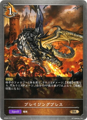 SD04-015 ֥쥤󥰥֥쥹 BR