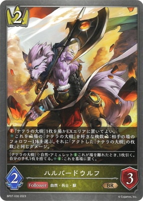 BP07-030 �ϥ�С��ɥ���� BR