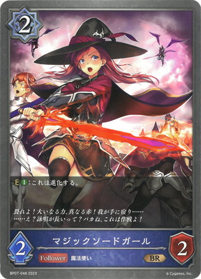 BP07-048 �ޥ��å������ɥ����� BR