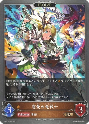 BP07-066 ������ε��� BR