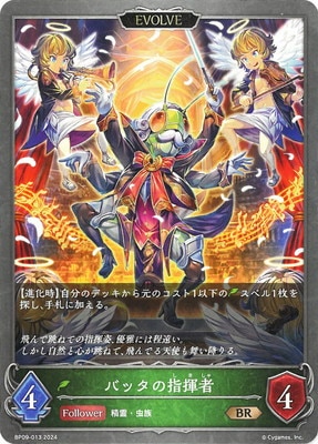 BP09-013 �Хå��λش��� BR