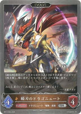 BP10-065 ֿϤΥɥ饴˥塼 SR