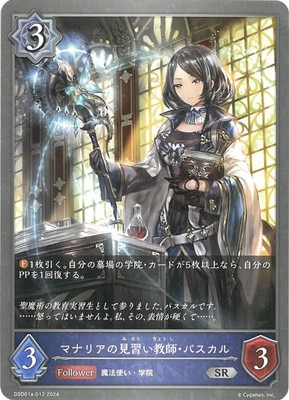 DSD01a-012 �ޥʥꥢ�θ��������ա��ѥ����� SR