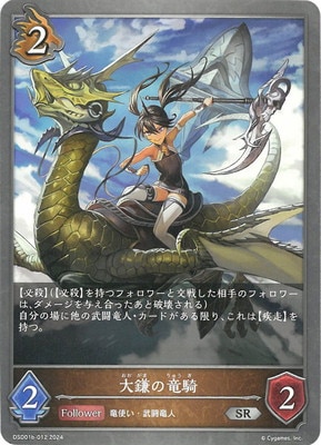 DSD01b-012 �����ε�� SR