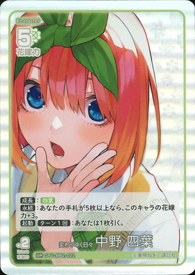 GYC-BP2-022 Ѥ椯   GR