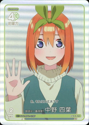 ڥѥGYC-BP2-028P ϰա   C