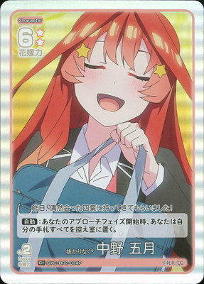 ڥѥGYC-BP2-034P ȴʤ  ޷ C