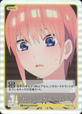 ڥѥGYC-BP2-040P ˥󥰥ڡѡ C