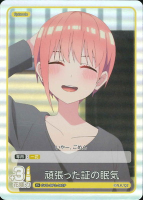 ڥѥGYC-BP2-042P ĥäڤ̲ C