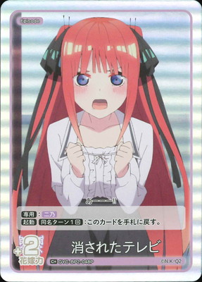 ڥѥGYC-BP2-048P ä줿ƥ C