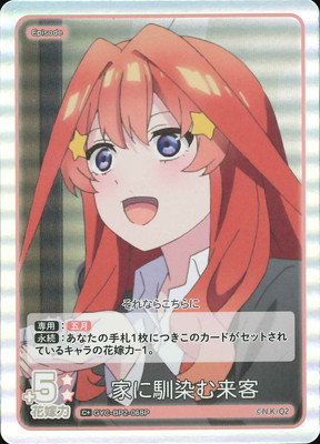 ڥѥGYC-BP2-068P Ȥ C