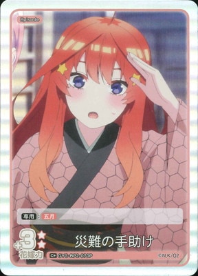 ڥѥGYC-BP2-070P μ C