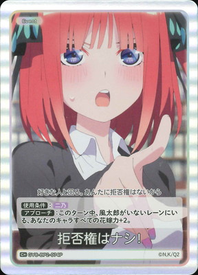 ڥѥGYC-BP2-074P ݸϥʥ C