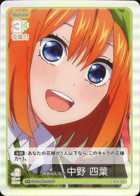 �ڥѥ����GYC-BP3-031P ����ߤ�ʤ� ���� ���� C��