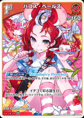 hBP06-042 �ϥ������١��륺 C