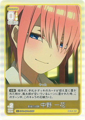 �ڥѥ����GYC-BP5-006P �Ǹ�λ ���� ��� C��