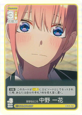 �ڥѥ����GYC-BP5-008P �����ʤȤ��� ���� ��� C��