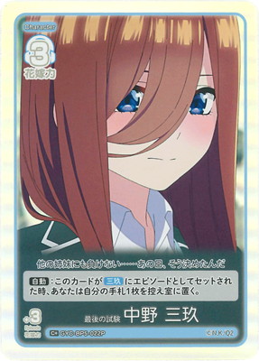 �ڥѥ����GYC-BP5-022P �Ǹ�λ ���� ���� C��