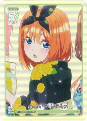 �ڥѥ����GYC-BP5-028P ��ǯ�λϤޤ� ���� ���� C��