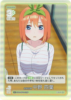 �ڥѥ����GYC-BP5-029P ������� ���� ���� C��