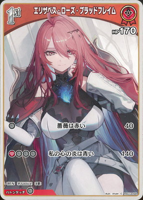 hSD13-004 ���ꥶ�٥������������֥�åɥե쥤�� C