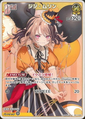 hSD13-009 ���������� C