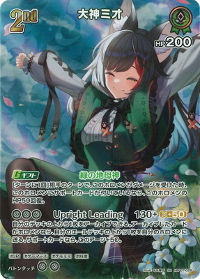 ��SR��hBP07-029 ����ߥ�