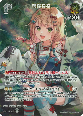 ��SR��hBP07-081 ����ͤ�