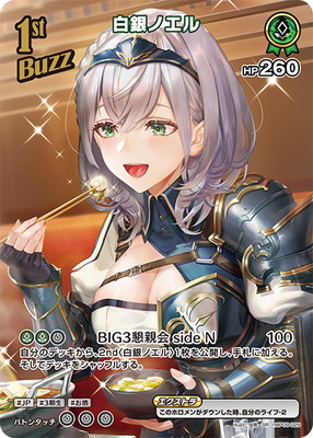 ��SR��hBP09-029 ���Υ��� 
