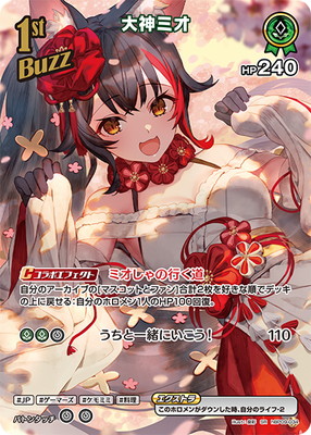 ��SR��hBP09-034 ����ߥ� 