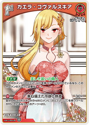 ��S��hBP09-041 �����顦�������륹���� 