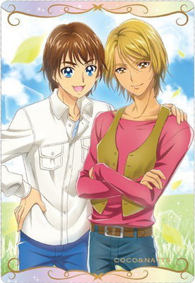 ץꥭ奢ɥϡ No.24 ʥå N