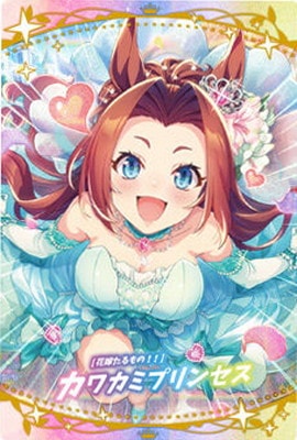 ̼ ץƥӡ ĥ󥦥ϡ2R W2-23 βֲǤΡϥ參ߥץ󥻥