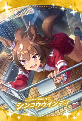 ̼ ץƥӡ ĥ󥦥ϡ2R W2-27 ///WARNING GATE///ϥ󥳥ǥ