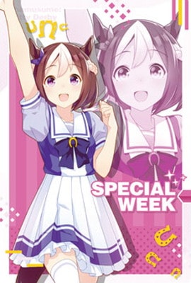 W3-11 ���ڥ���륦������ ����̼ �ץ�ƥ��������ӡ� �ĥ��󥦥��ϡ��� ��3R