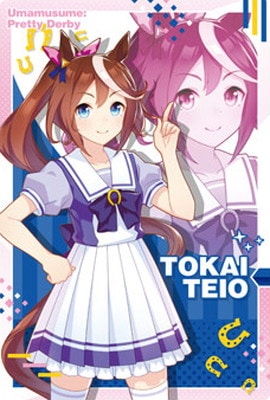 W3-13 �ȥ������ƥ����� ����̼ �ץ�ƥ��������ӡ� �ĥ��󥦥��ϡ��� ��3R