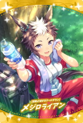 W3-26 �θ�ư��®�ޤ륯���������ϥ᥸���饤���� ����̼ �ץ�ƥ��������ӡ� �ĥ��󥦥��ϡ��� ��3R