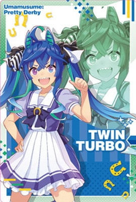 W4-13 �ĥ��󥿡��� ����̼ �ץ�ƥ��������ӡ� �ĥ��󥦥��ϡ��� ��4R