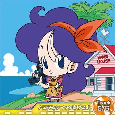 Ķ6-20 ���ޥ�ƥ��å��������?Track5/6 R
