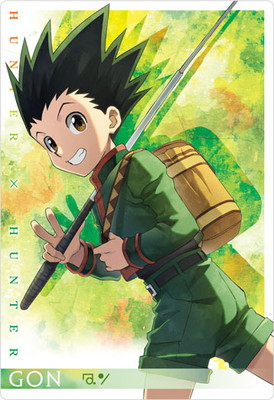 HUNTER×HUNTER ゴン トレカ 14枚セット ハンターハンター カード