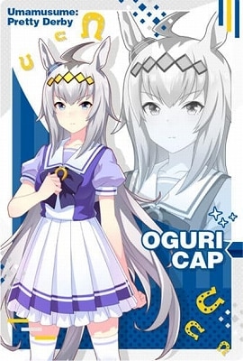 ̼ ץƥӡ ĥ󥦥ϡ 7R W7-08 ꥭå