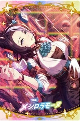 ̼ ץƥӡ ĥ󥦥ϡ 7R W7-15 []᥸⡼