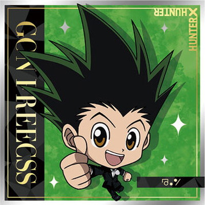 HH6-14 ���� N �ˤդ���᡼����� HUNTER��HUNTER ������ߥ����ϡ���vol.6