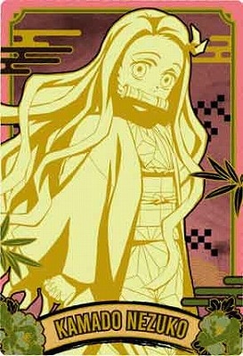 W9-17 ����ǩƦ�� R ���Ǥοϥ����ϡ�����