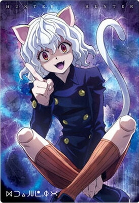 ハンターハンタートランプカード ネフェルピトー HUNTER×HUNTER